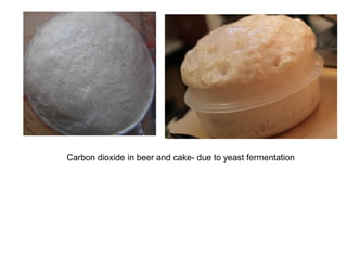 Carbon dioxide in beer and cake- due to yeast fermentation
 