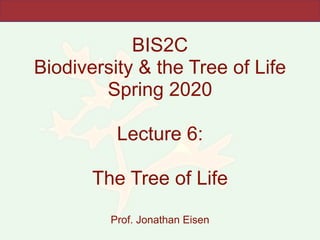 BIS2C
Biodiversity & the Tree of Life
Spring 2020
Lecture 6:
The Tree of Life
Prof. Jonathan Eisen
 
