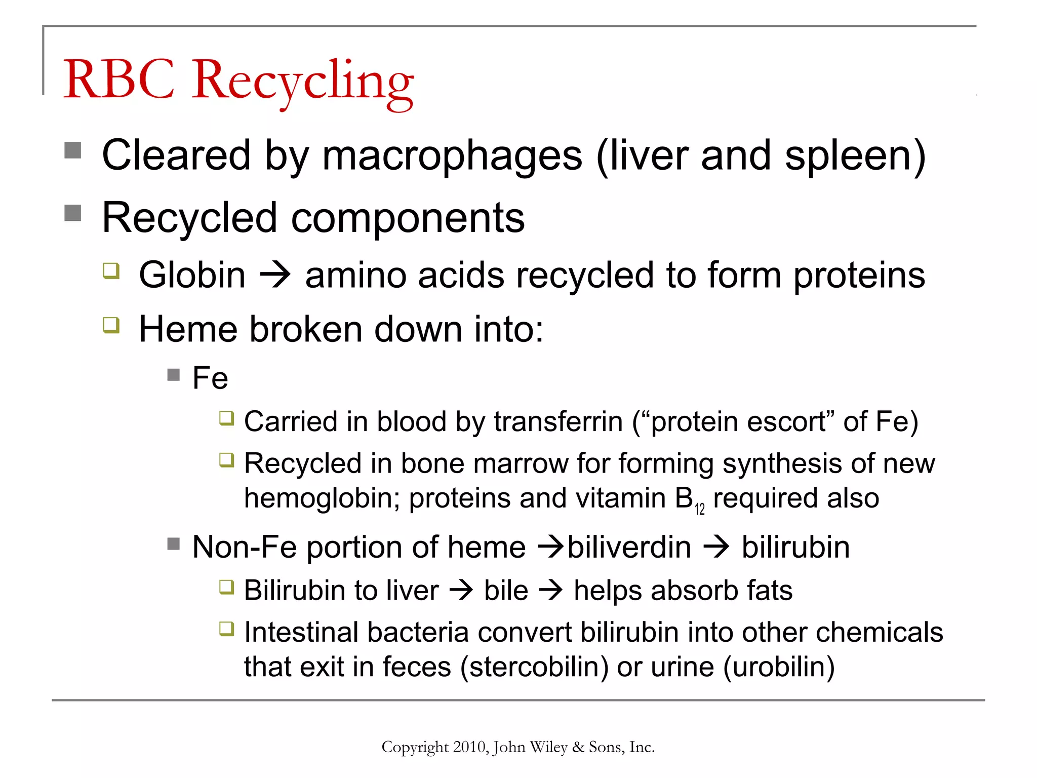 RBC Recycling



Cleared by macrophages (liver and spleen)
Recycled components



Globin  amino acids recycled to form proteins
Heme broken down into:


Fe
Carried in blood by transferrin (“protein escort” of Fe)
 Recycled in bone marrow for forming synthesis of new
hemoglobin; proteins and vitamin B12 required also




Non-Fe portion of heme biliverdin  bilirubin
Bilirubin to liver  bile  helps absorb fats
 Intestinal bacteria convert bilirubin into other chemicals
that exit in feces (stercobilin) or urine (urobilin)


Copyright 2010, John Wiley & Sons, Inc.

 