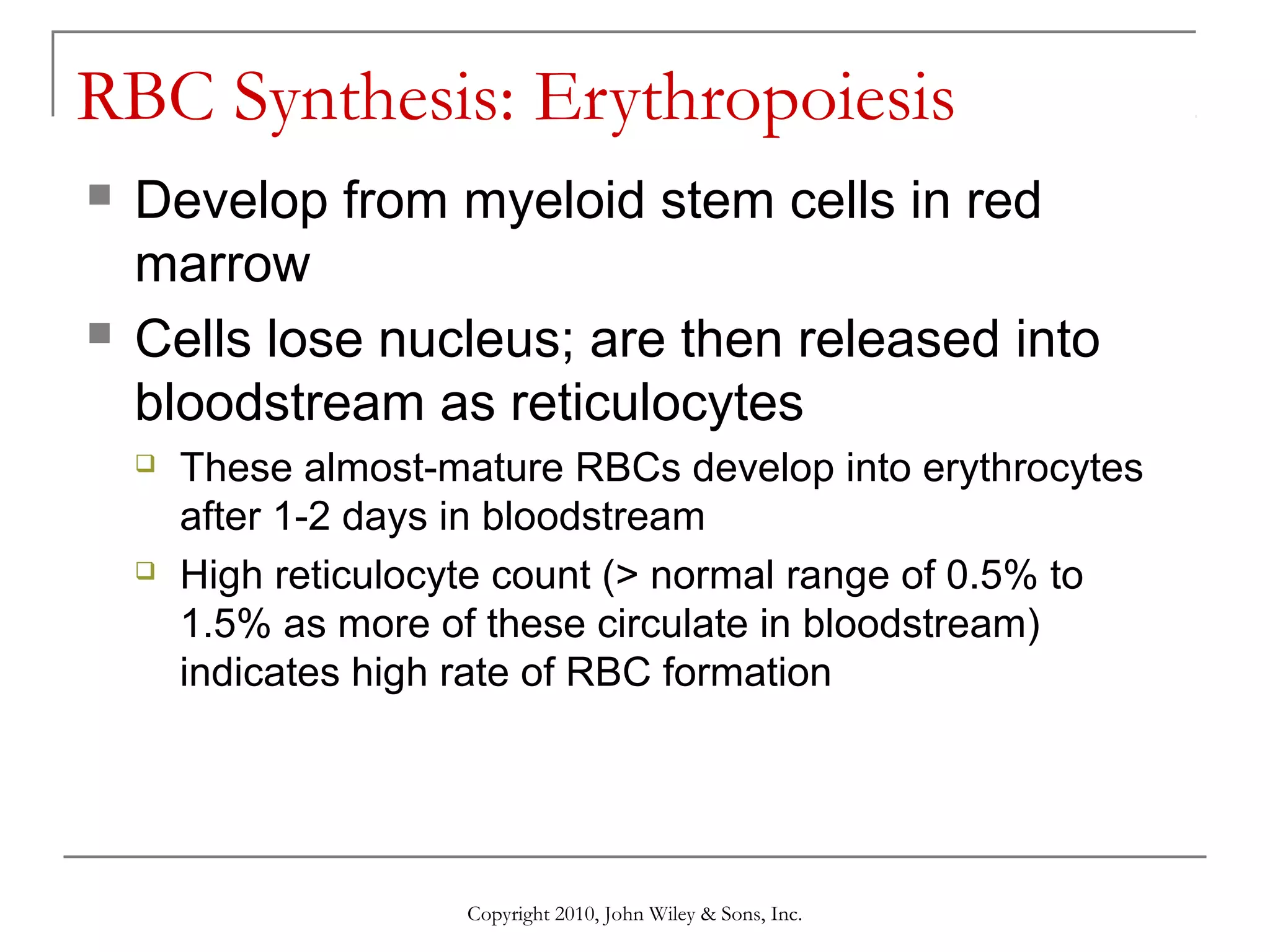RBC Synthesis: Erythropoiesis




Develop from myeloid stem cells in red
marrow
Cells lose nucleus; are then released into
bloodstream as reticulocytes




These almost-mature RBCs develop into erythrocytes
after 1-2 days in bloodstream
High reticulocyte count (> normal range of 0.5% to
1.5% as more of these circulate in bloodstream)
indicates high rate of RBC formation

Copyright 2010, John Wiley & Sons, Inc.

 