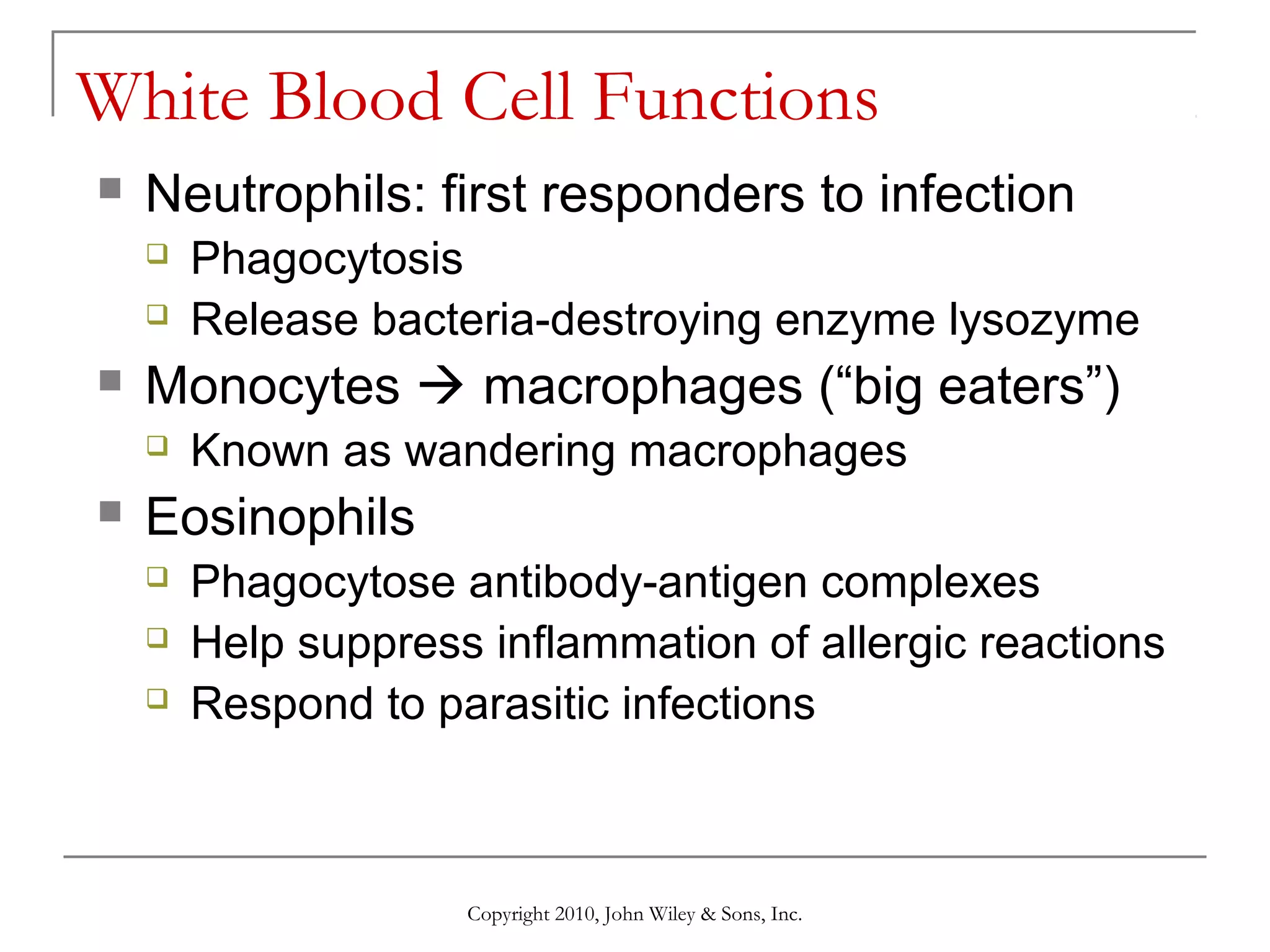 White Blood Cell Functions


Neutrophils: first responders to infection





Monocytes  macrophages (“big eaters”)




Phagocytosis
Release bacteria-destroying enzyme lysozyme
Known as wandering macrophages

Eosinophils




Phagocytose antibody-antigen complexes
Help suppress inflammation of allergic reactions
Respond to parasitic infections

Copyright 2010, John Wiley & Sons, Inc.

 