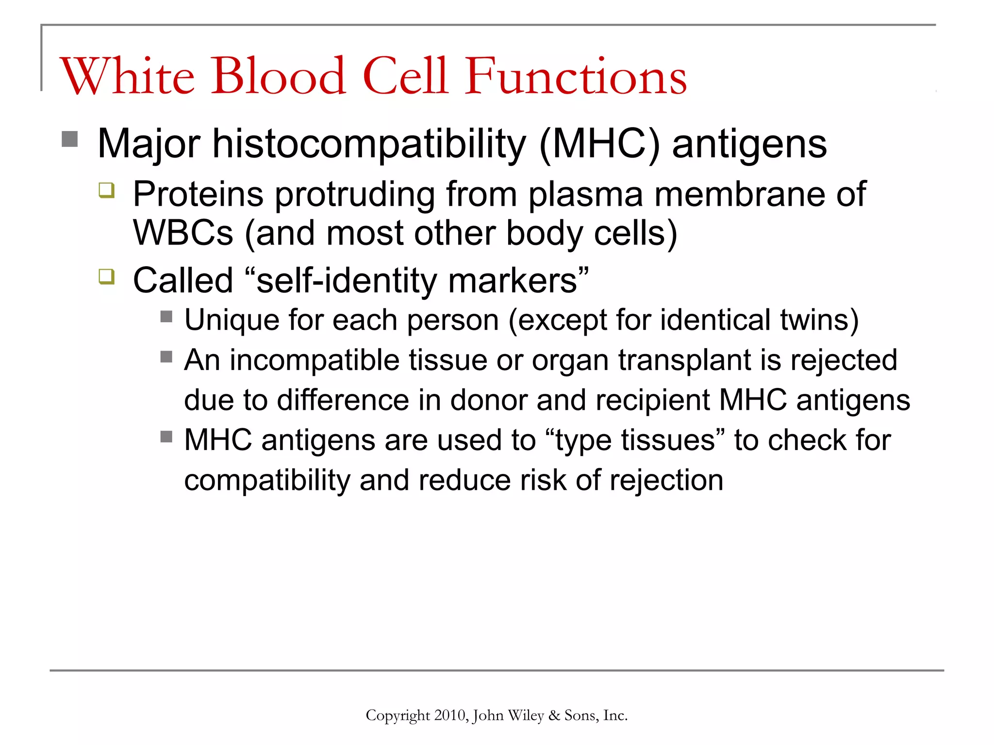 White Blood Cell Functions


Major histocompatibility (MHC) antigens




Proteins protruding from plasma membrane of
WBCs (and most other body cells)
Called “self-identity markers”





Unique for each person (except for identical twins)
An incompatible tissue or organ transplant is rejected
due to difference in donor and recipient MHC antigens
MHC antigens are used to “type tissues” to check for
compatibility and reduce risk of rejection

Copyright 2010, John Wiley & Sons, Inc.

 