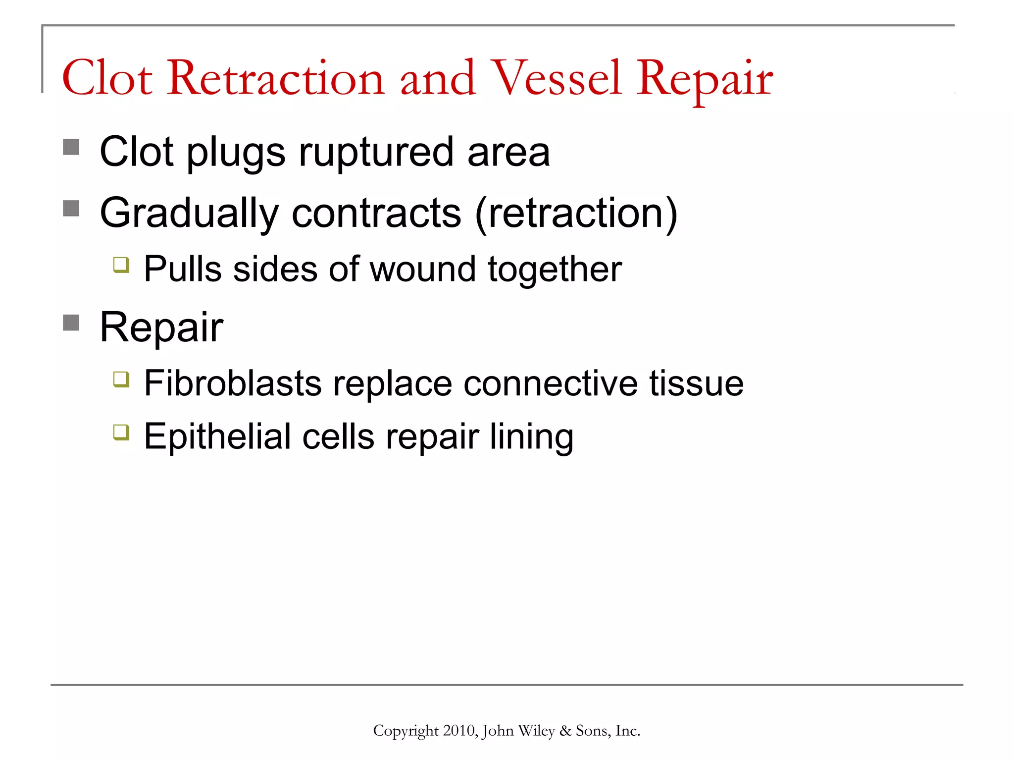 Clot Retraction and Vessel Repair



Clot plugs ruptured area
Gradually contracts (retraction)




Pulls sides of wound together

Repair



Fibroblasts replace connective tissue
Epithelial cells repair lining

Copyright 2010, John Wiley & Sons, Inc.

 