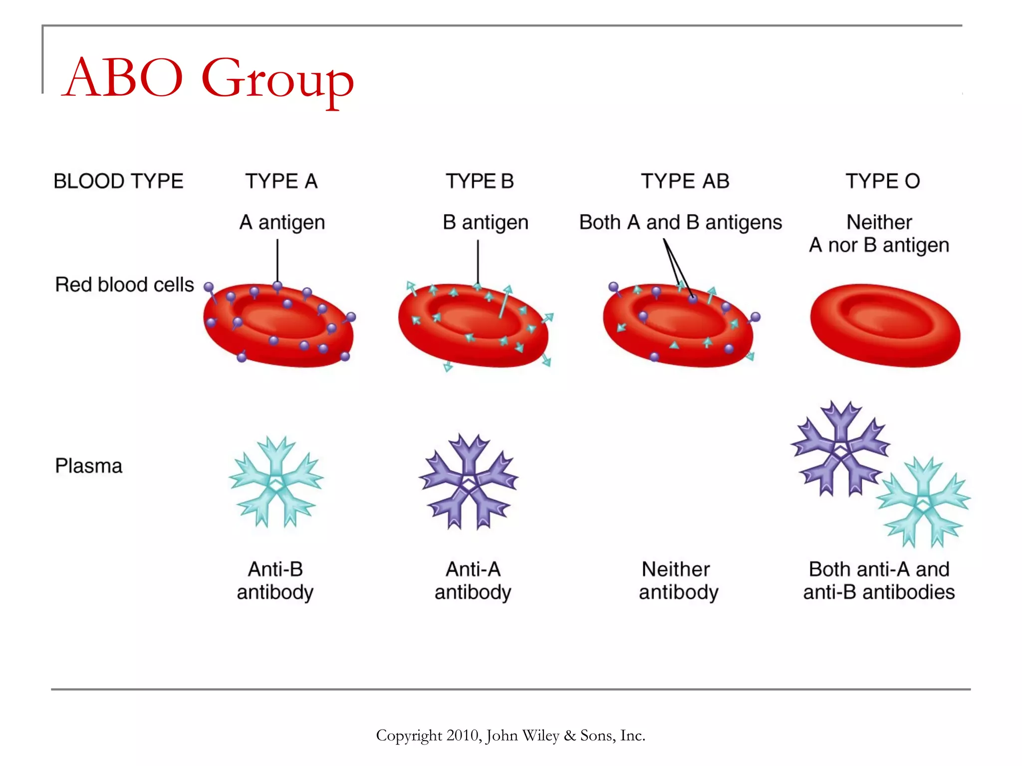 ABO Group

Copyright 2010, John Wiley & Sons, Inc.

 
