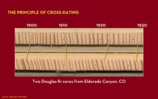 GEOG5839.06, The principle of cross dating | PDF