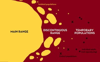 GEOG5839.06, The principle of cross dating | PDF
