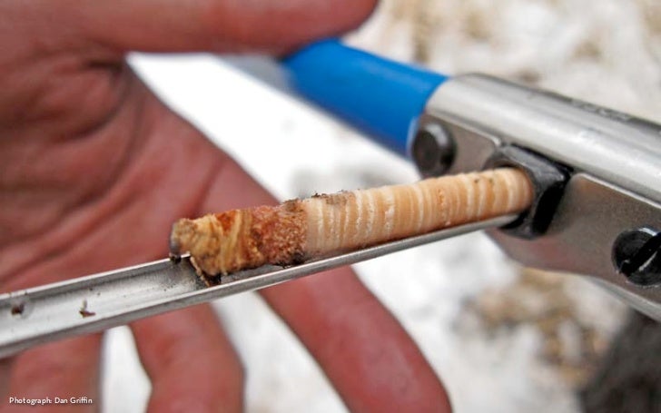 richmond dating service