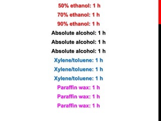 50% ethanol: 1 h
70% ethanol: 1 h
90% ethanol: 1 h
Absolute alcohol: 1 h
Absolute alcohol: 1 h
Absolute alcohol: 1 h
Xylene/toluene: 1 h
Xylene/toluene: 1 h
Xylene/toluene: 1 h
Paraffin wax: 1 h
Paraffin wax: 1 h
Paraffin wax: 1 h
 