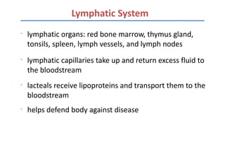 Lymphatic System
•
    lymphatic organs: red bone marrow, thymus gland,
    tonsils, spleen, lymph vessels, and lymph nodes
•
    lymphatic capillaries take up and return excess fluid to
    the bloodstream
•
    lacteals receive lipoproteins and transport them to the
    bloodstream
•
    helps defend body against disease
 