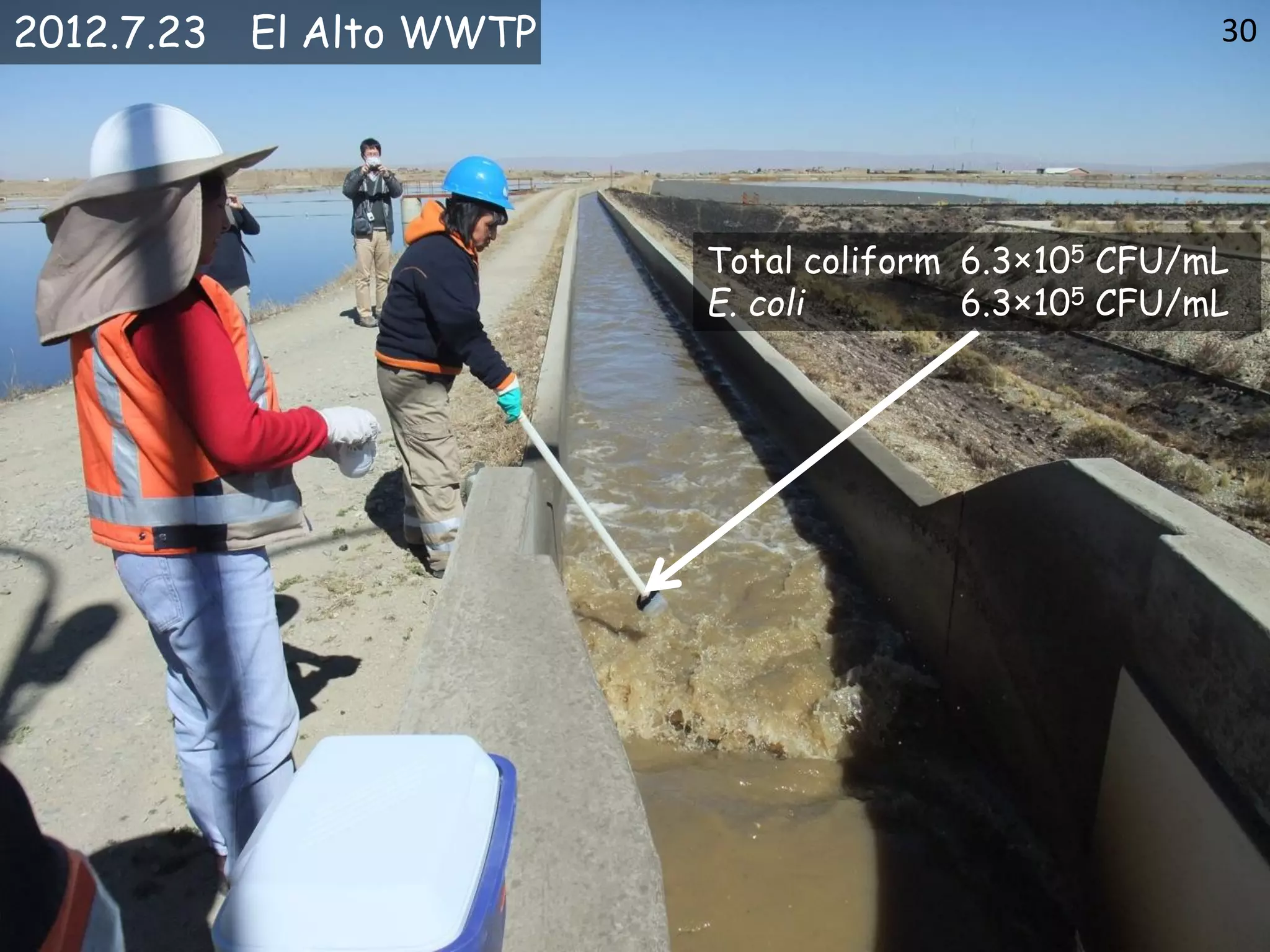 Total coliform 6.3×105 CFU/mL
E. coli 6.3×105 CFU/mL
2012.7.23 El Alto WWTP 30
 