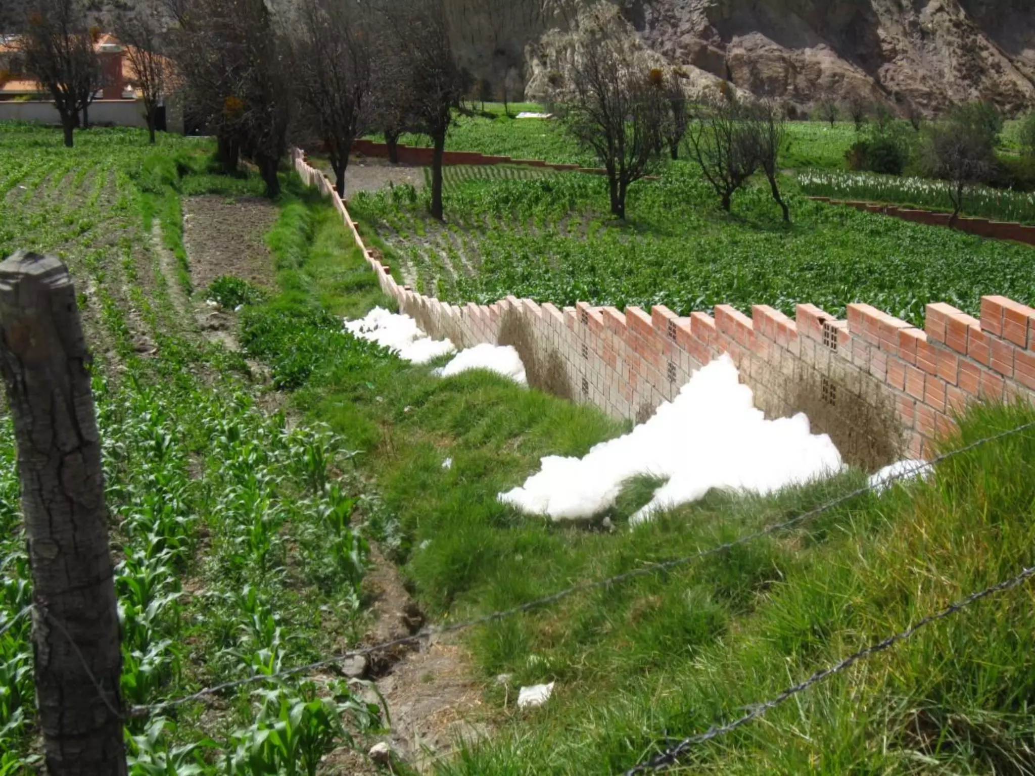 Wastewater reuse for agriculture
35
 