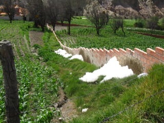 Wastewater reuse for agriculture
35
 