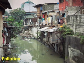 39
Pollution
 