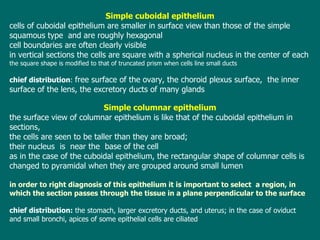 Simple cuboidal epithelium cells of cuboidal epithelium are smaller in surface view than those of the   simple  squamous type  and are roughly hexagonal c ell boundaries are often clearly visible i n vertical sections the cells are square with a  spherical  nucleus in the center of   each th e square shape is modified to that of truncated prism when cells line  s mall  ducts c hief distribution :  free surface of the ovary, the choroid plexus surface,  the inner surface of the lens, the excretory ducts of many glands Simple columnar epithelium the  surface view of columnar epithelium is like that of the cuboidal epithelium  i n  sections,  the cells are seen to be taller than they are broad;  t he ir  nucleus  is  near  the  base of the cell  a s in the case  of the  cuboidal epithelium ,  the rectangular shape of columnar cells is  changed to pyramidal when they are grouped around small lumen  in order to right diagnosis of  this  epithelium it is important to   select  a region ,  in  which the section passes through the tissue in a plane   perpendicular to  the  surface c hief distribution:  the stomach, larger excretory ducts, and uterus; in the case of oviduct  and small bronchi, apices of some epithelial cells are ciliated 