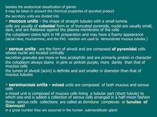 b esides the anatomical classification of glands it may be taken in account the chemical properties of secreted product the secretory units are divided into   m ucous  units -  the shape of straight tubules with a small lum ina cells are usually of  cuboidal  form or of truncated pyramids ,  nuclei are usually small, dark, and are flattened against the plasma membrane of the cells the  cytoplasm stains light in HE preparation and may have a foamy appearance (alcian blue, mucicarmine, and the PAS  reaction are used to  demonstrate mucous tubules ) serous units   -  are the form of alveoli and are composed  of pyramidal  cells whose nuclei are located centrally secretion granules are more or less acidophilic and are primarily protein in character t he cytoplasm always stains  in pink or pinkish purple, more  darkly  than that of mucous cells t he lumen of alveoli (acini) is definite and and smaller in diameter than that of mucous tubules seromucous  units -  mixed  units are composed  of both mucous and serous cells a  mixed unit is composed of mucous cells lining  a tubular part (short tubule) to  which one end is added a collection of serous cells arranged in a half-moon fashion t hese  serous cells  collections  are called as  demilune  complexes  or  lunulae  of  Giannuzzi i n a great number they are occurred in the human  subma ndibular  gland 