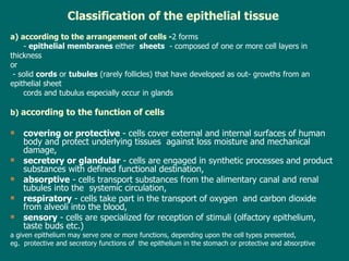 Classification of the epithelial tissue a) according to the arrangement of cells - 2 forms -  epithelial membranes   either  sheets   -  composed of one or more  cell  layers in  thickness  or - solid  cords  or  tubules  (rarely follicles) that have developed as out- growths from an  epithelial sheet cords and tubulus especially occur in  glands b)  according to the function of cells covering or  protective  - cells cover external and internal surfaces of human body and protect underlying tissues  against loss moisture and mechanical damage, secretory  or glandular  - cells are engaged in synthetic processes and product substances with defined functional destination, absorptive  - cells transport substances from the alimentary canal and renal tubules into the  systemic circulation, respiratory  - cells  take part  in  the  transport of oxygen  and carbon dioxide from alveoli into the blood, sensory  - cells are specialized for reception of stimuli (olfactory epithelium, taste buds etc.) a  given epithelium may serve one or more functions, depending upon the cell types presented, eg.  protective and secretory functions of  the epithelium in the stomach or protective and absorptive 