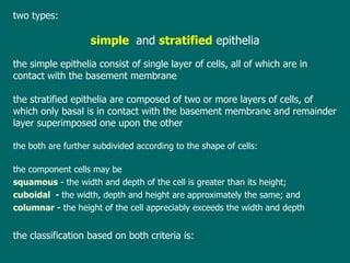 two  types: simple  and  stratified  epithelia t he simple epithelia consist of single layer of cells, all of which are in contact with the basement membrane t he stratified epithelia are composed of two or more layers of cells, of which only  basal  is in contact with the basement membrane and remainder  layer  superimposed one upon the other the both   are  further subdivided according to the shape of cells : t he component cells may be  squamous  -  the width and depth of the cell is greater   than its height;  cuboidal  -  the width, depth and height are approximately the   same;  and   columnar  -  the height of the cell appreciably exceeds the width and   depth t he classification  based on  both criteria is : 