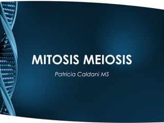 MITOSIS MEIOSIS
   Patricia Caldani MS
 