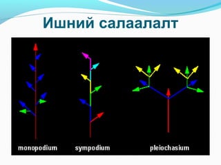 Ишний салаалалт
 