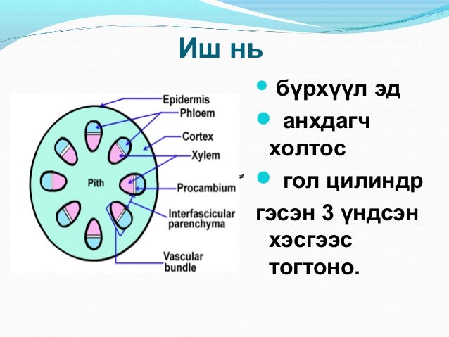 Lecture7