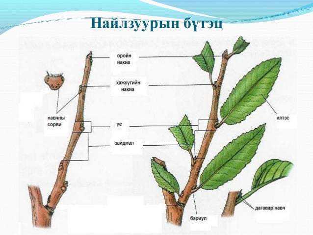Lecture7