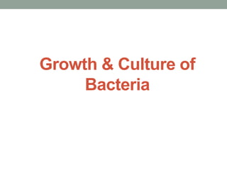 Growth & Culture of
Bacteria
 
