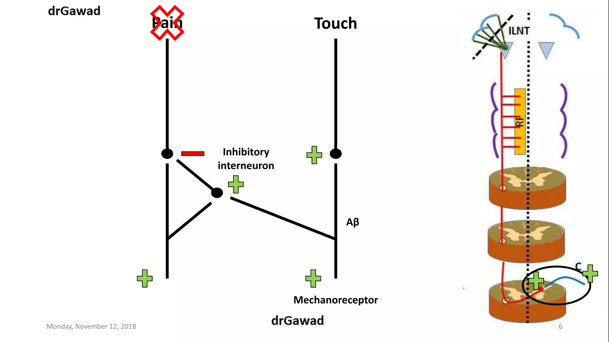 Lecture+7 | PPT