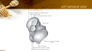 Lecture 7 | PPTX