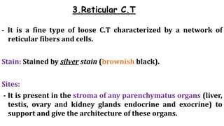 Fine Reticular Network Lecture 7.pdf