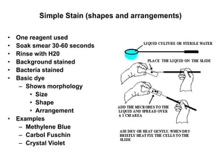 Lecture 7.ppt