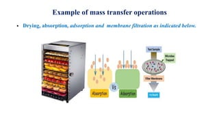 Example of mass transfer operations
 Drying, absorption, adsorption and membrane filtration as indicated below.
 