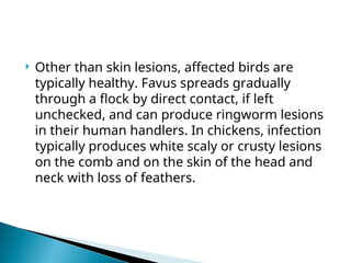  Other than skin lesions, affected birds are
typically healthy. Favus spreads gradually
through a flock by direct contact, if left
unchecked, and can produce ringworm lesions
in their human handlers. In chickens, infection
typically produces white scaly or crusty lesions
on the comb and on the skin of the head and
neck with loss of feathers.
 