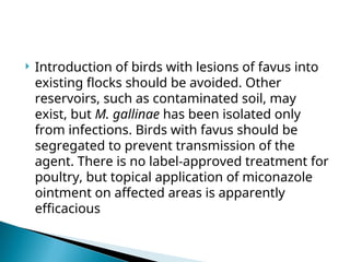  Introduction of birds with lesions of favus into
existing flocks should be avoided. Other
reservoirs, such as contaminated soil, may
exist, but M. gallinae has been isolated only
from infections. Birds with favus should be
segregated to prevent transmission of the
agent. There is no label-approved treatment for
poultry, but topical application of miconazole
ointment on affected areas is apparently
efficacious
 