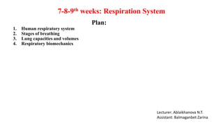 7-8-9th weeks: Respiration System
Lecturer: Ablaikhanova N.T.
Assistant: Balmaganbet Zarina
Plan:
1. Human respiratory system
2. Stages of breathing
3. Lung capacities and volumes
4. Respiratory biomechanics
 