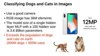 Classifying Dogs and Cats in Images
• Use a good camera
• RGB image has 36M elements
• The model size of a single hidden
layer MLP with a 100 hidden size
is 3.6 Billion parameters
• Exceeds the population of dogs
and cats on earth
(900M dogs + 600M cats)
 