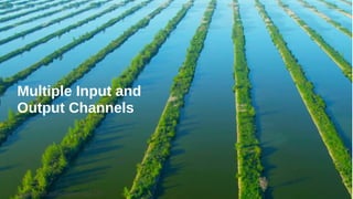 courses.d2l.ai/berkeley-stat-157
Multiple Input and
Output Channels
 