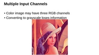 Multiple Input Channels
• Color image may have three RGB channels
• Converting to grayscale loses information
 