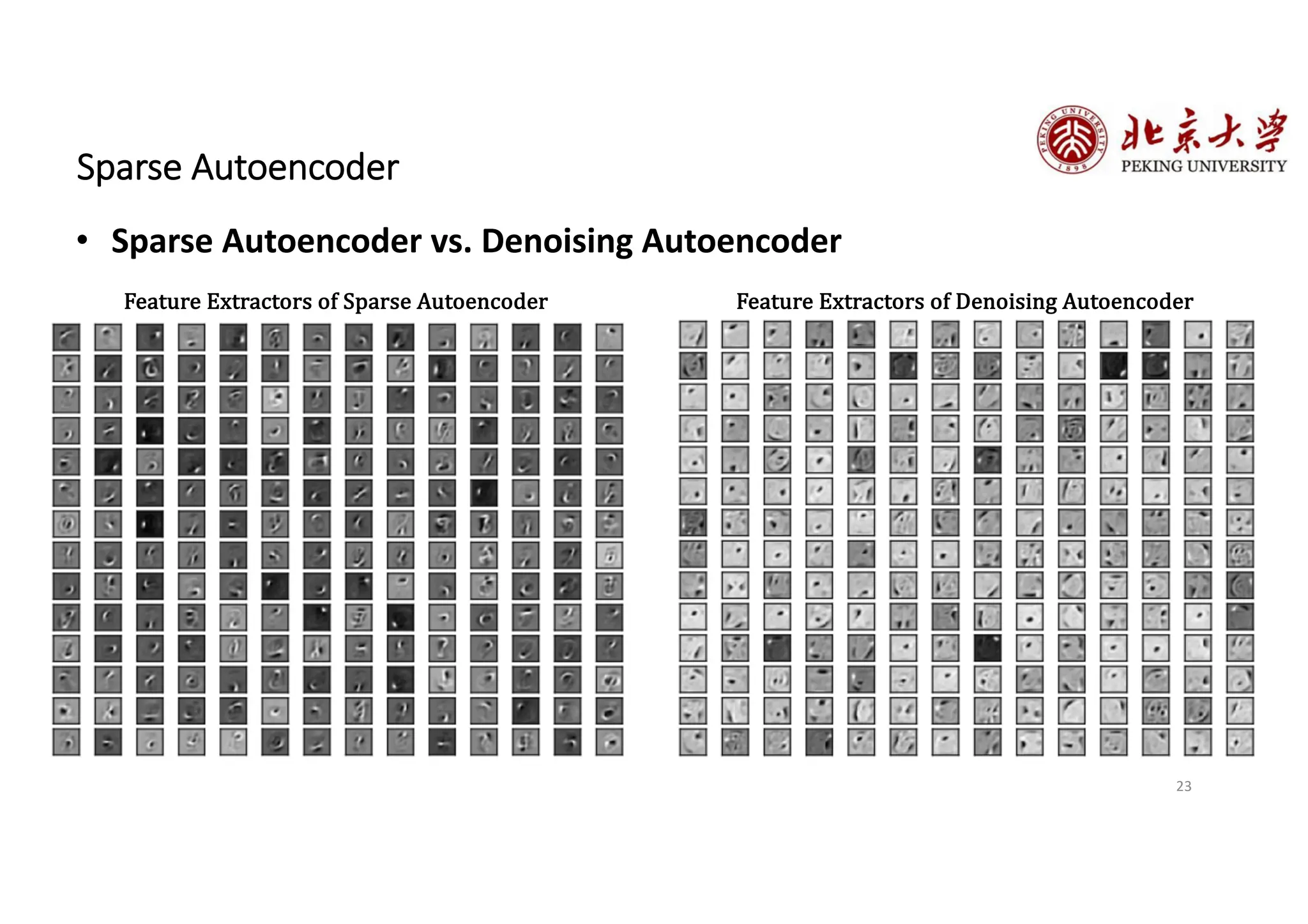 23
Sparse Autoencoder
• Sparse Autoencoder vs. Denoising Autoencoder
Feature Extractors of Sparse Autoencoder Feature Extractors of Denoising Autoencoder
 