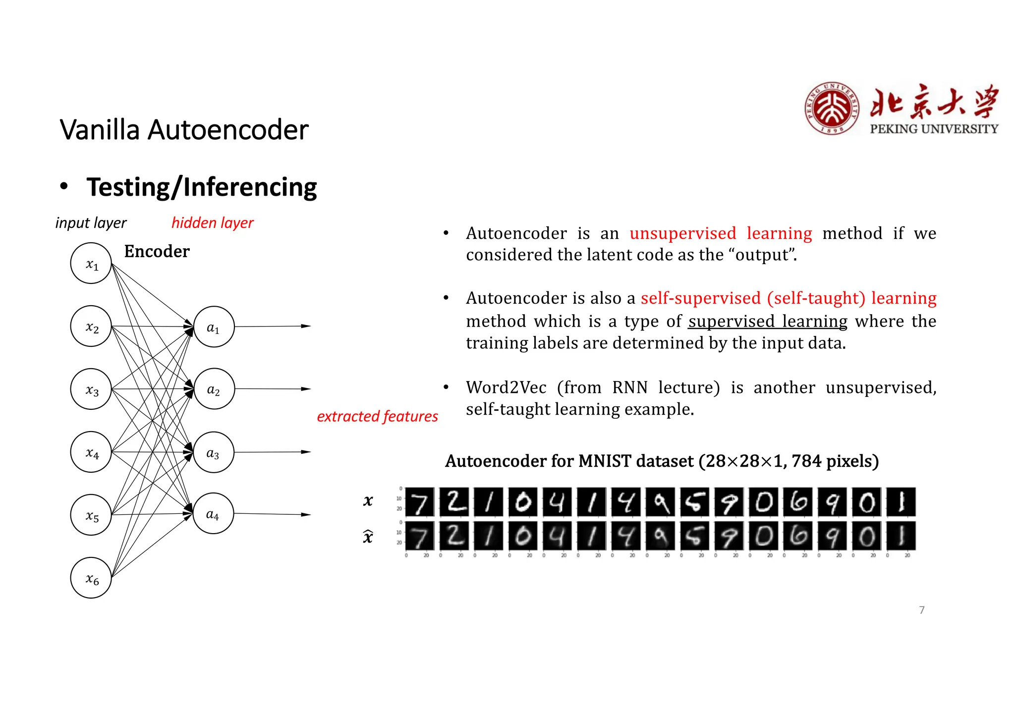 7
Vanilla Autoencoder
• Testing/Inferencing
𝑥!
𝑥"
𝑥#
𝑎1
𝑎2
𝑎3
𝑥$
𝑥%
𝑥&
𝑎4
hidden layer
input layer
extracted features
• Autoencoder is an unsupervised learning method if we
considered the latent code as the “output”.
• Autoencoder is also a self-supervised (self-taught) learning
method which is a type of supervised learning where the
training labels are determined by the input data.
• Word2Vec (from RNN lecture) is another unsupervised,
self-taught learning example.
Autoencoder for MNIST dataset (28×28×1, 784 pixels)
%
𝒙
𝒙
Encoder
 