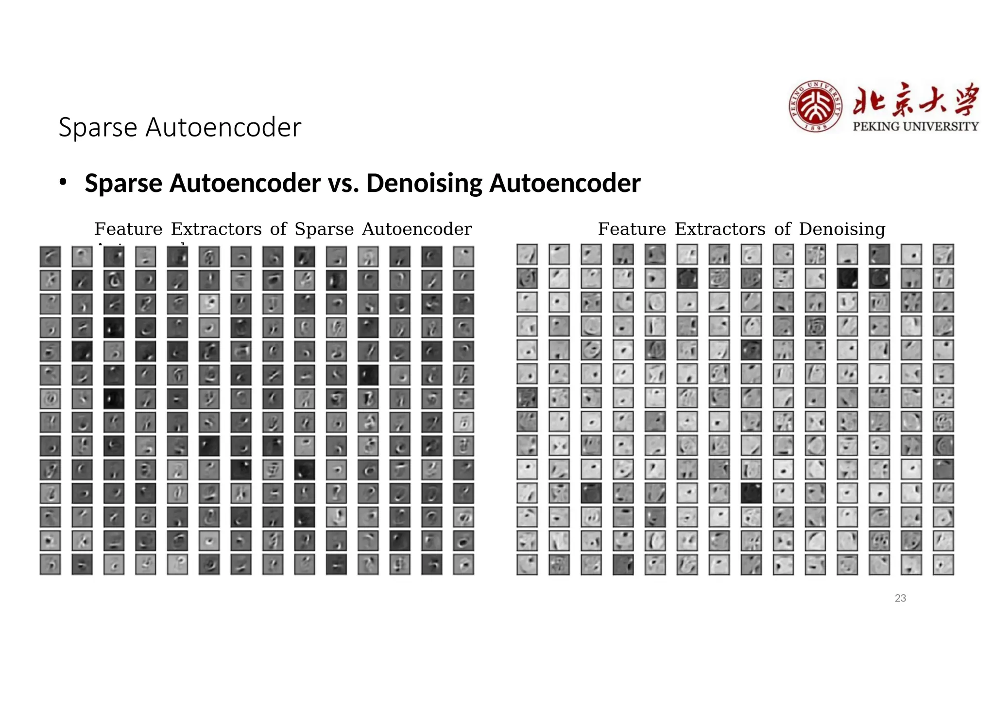Sparse Autoencoder
• Sparse Autoencoder vs. Denoising Autoencoder
Feature Extractors of Sparse Autoencoder Feature Extractors of Denoising
Autoencoder
23
 