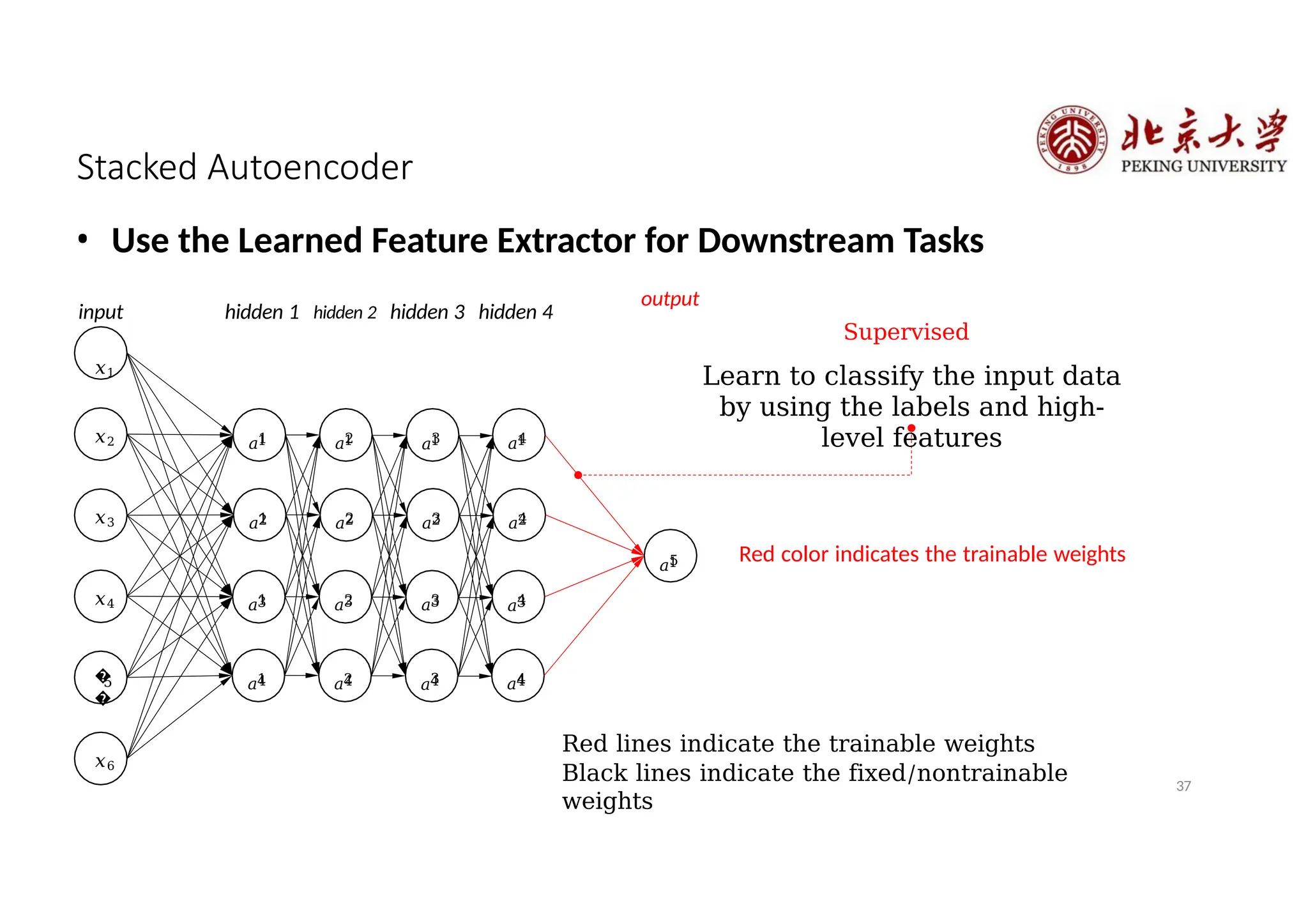 37
Stacked Autoencoder
• Use the Learned Feature Extractor for Downstream Tasks
𝑥2
𝑥3
1
𝑎1
2
𝑎1
3
𝑎1
𝑥4
�
�
5
𝑥6
4
𝑎1
1
𝑎2
2
𝑎2
3
𝑎2
4
𝑎2
1
𝑎3
2
𝑎3
3
𝑎3
4
𝑎3
output
1
𝑎4
2
𝑎4
3
𝑎4
4
𝑎4
1
𝑎5
input hidden 1 hidden 2 hidden 3 hidden 4
𝑥1
Red lines indicate the trainable weights
Black lines indicate the fixed/nontrainable
weights
Supervised
Learn to classify the input data
by using the labels and high-
level features
Red color indicates the trainable weights
 