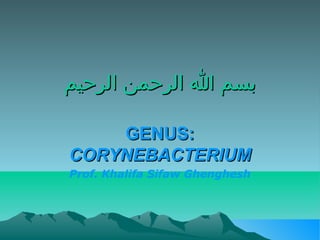 ‫بسم ا الرحمن الرحيم‬
GENUS:
CORYNEBACTERIUM
Prof. Khalifa Sifaw Ghenghesh

 