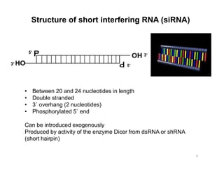 Short Dsrna Lecture 7-Genetic Basis of Disease-Targeted Therapies-RNA Inteference.pdf