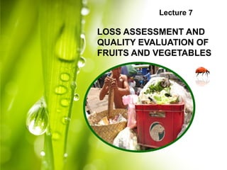 Lecture 7
LOSS ASSESSMENT AND
QUALITY EVALUATION OF
FRUITS AND VEGETABLES
 