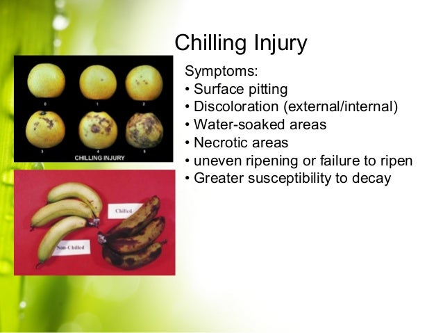 Lecture 7 Loss Assessment And Quality Evaluation