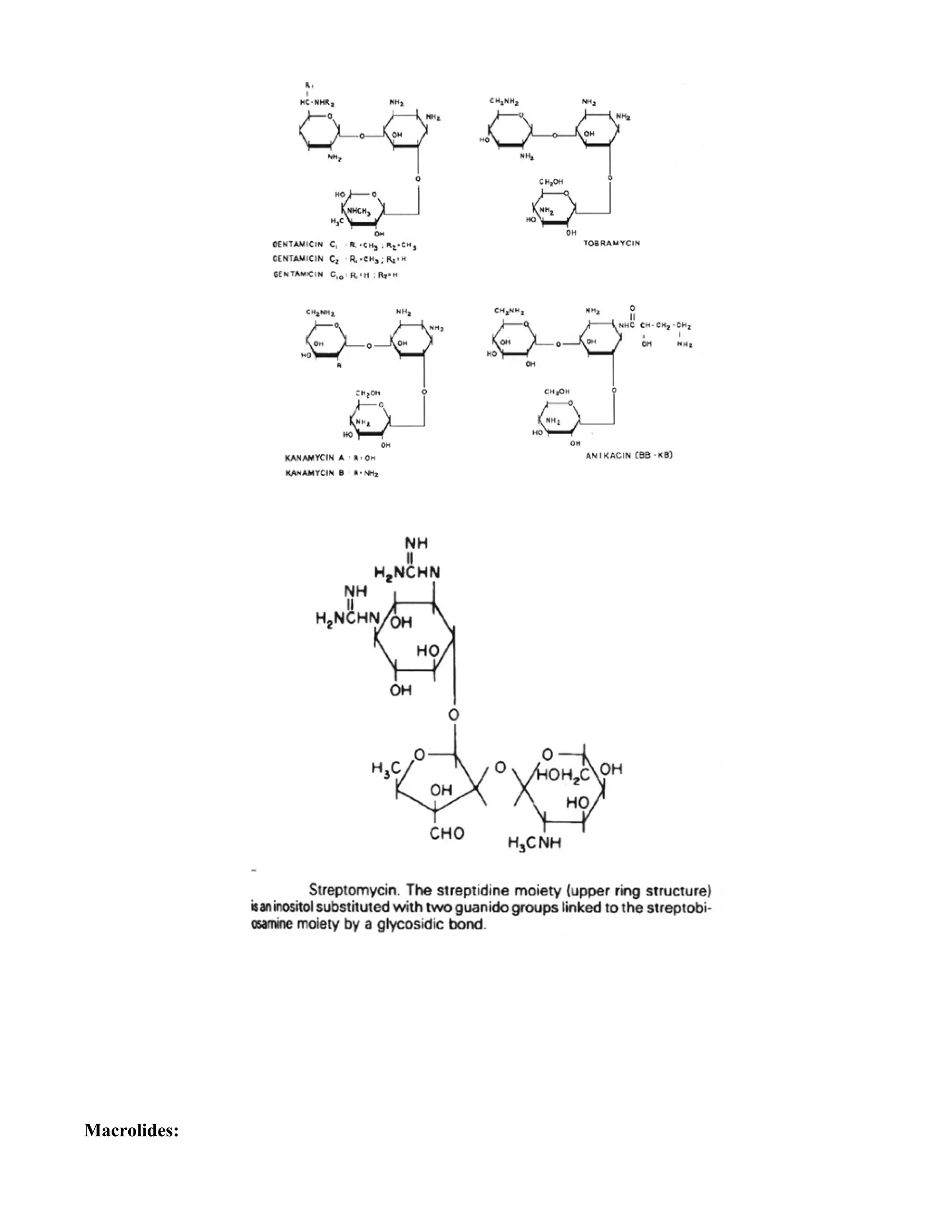 Macrolides:
 