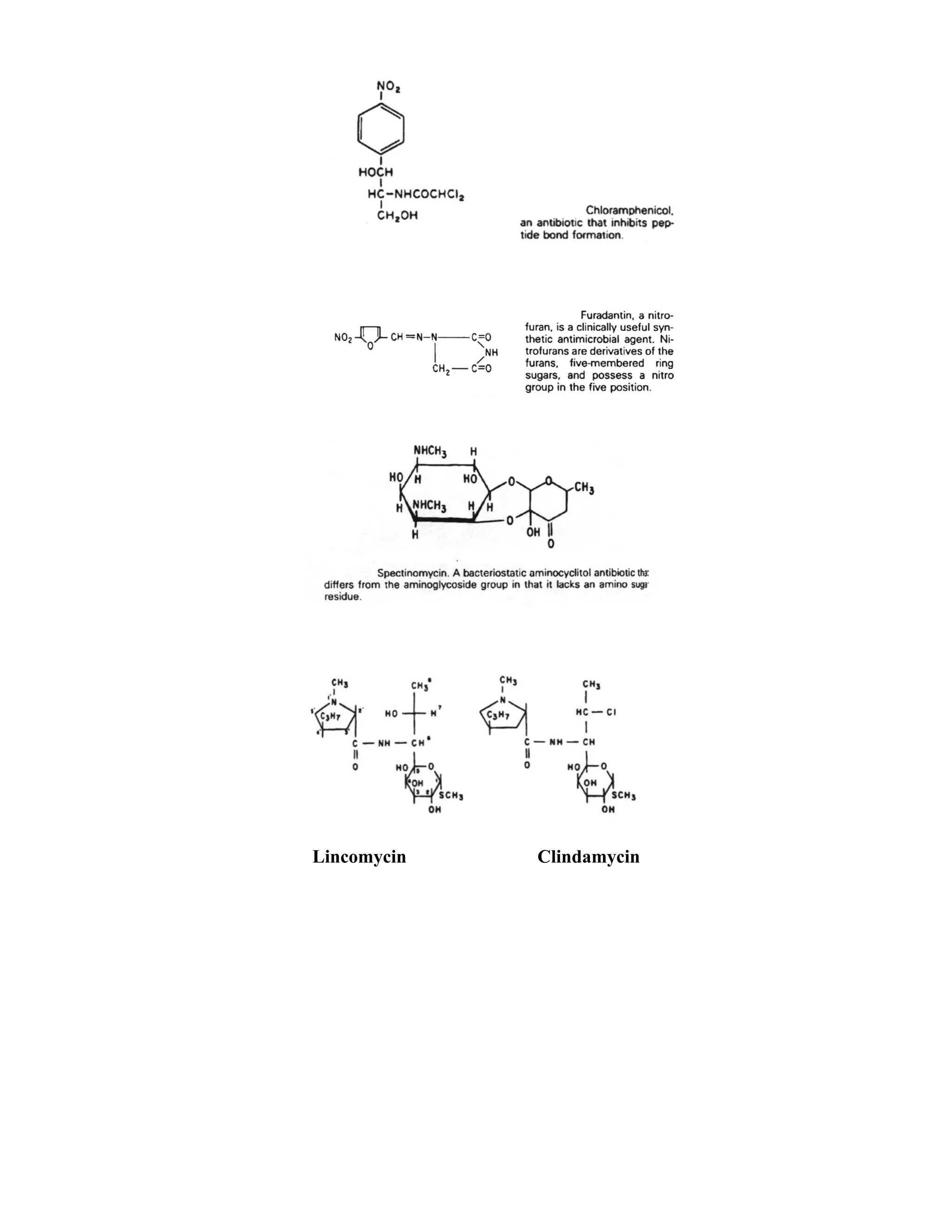 Lincomycin   Clindamycin
 