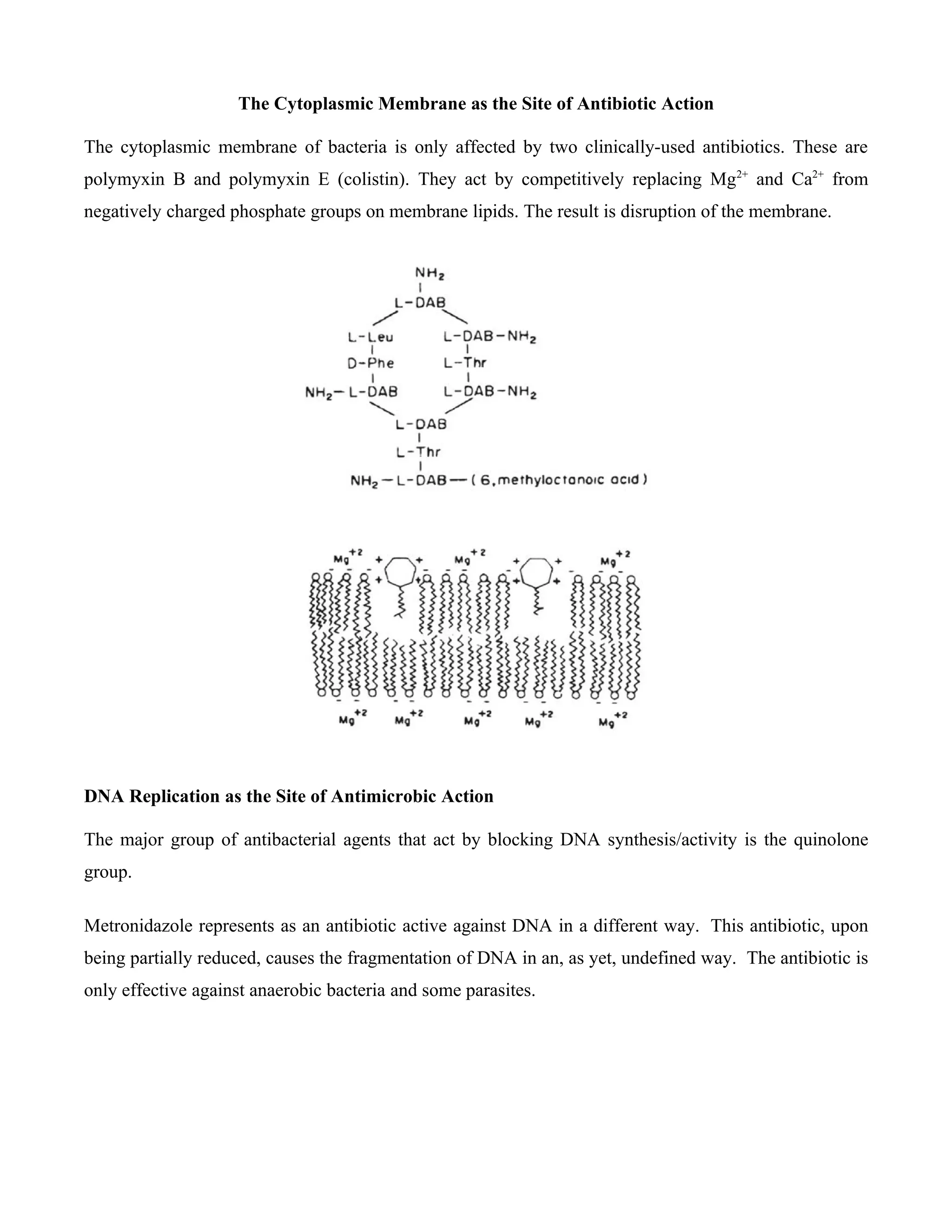 The Cytoplasmic Membrane as the Site of Antibiotic Action

The cytoplasmic membrane of bacteria is only affected by two clinically-used antibiotics. These are
polymyxin B and polymyxin E (colistin). They act by competitively replacing Mg2+ and Ca2+ from
negatively charged phosphate groups on membrane lipids. The result is disruption of the membrane.




DNA Replication as the Site of Antimicrobic Action

The major group of antibacterial agents that act by blocking DNA synthesis/activity is the quinolone
group.

Metronidazole represents as an antibiotic active against DNA in a different way. This antibiotic, upon
being partially reduced, causes the fragmentation of DNA in an, as yet, undefined way. The antibiotic is
only effective against anaerobic bacteria and some parasites.
 