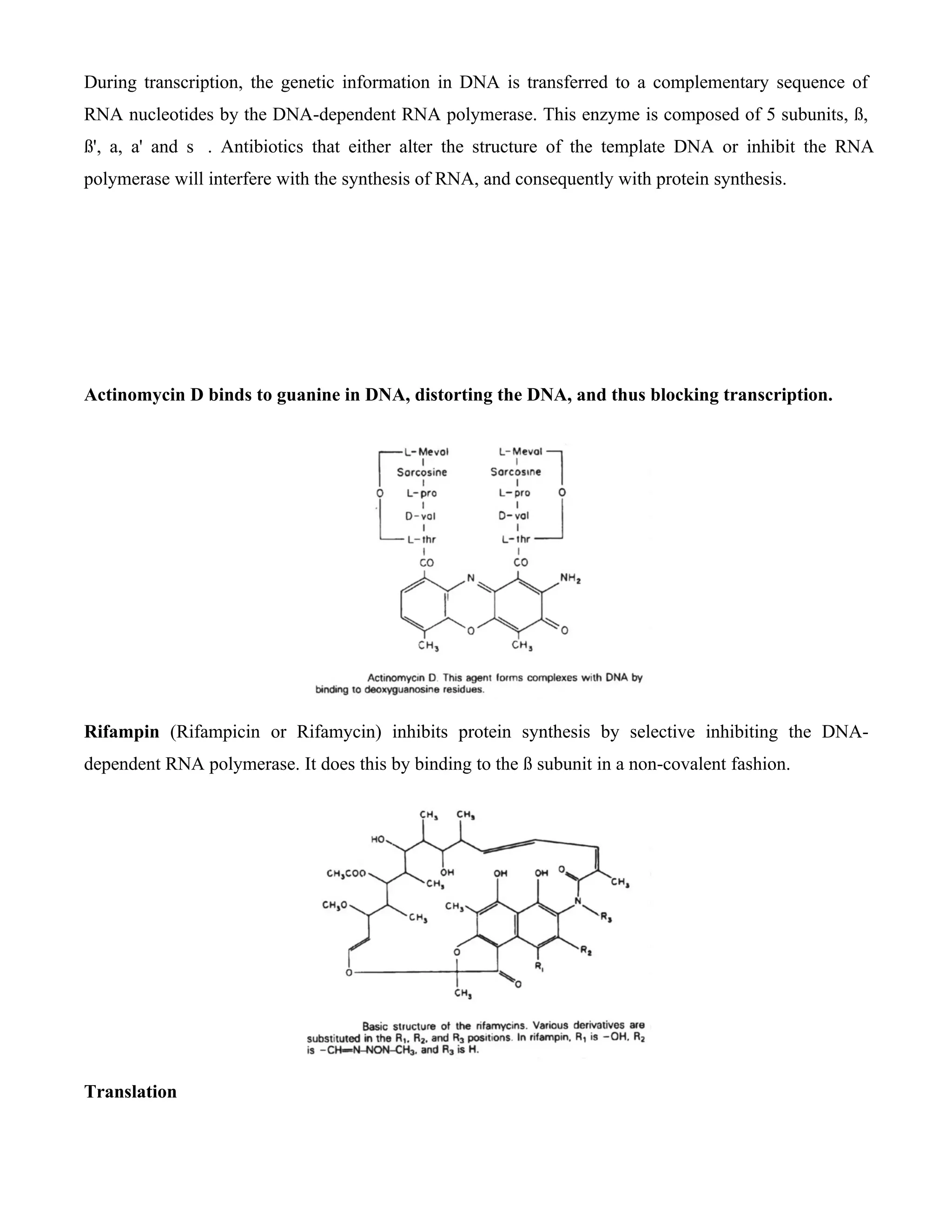 During transcription, the genetic information in DNA is transferred to a complementary sequence of
RNA nucleotides by the DNA-dependent RNA polymerase. This enzyme is composed of 5 subunits, ß,
ß', a, a' and s . Antibiotics that either alter the structure of the template DNA or inhibit the RNA
polymerase will interfere with the synthesis of RNA, and consequently with protein synthesis.




Actinomycin D binds to guanine in DNA, distorting the DNA, and thus blocking transcription.




Rifampin (Rifampicin or Rifamycin) inhibits protein synthesis by selective inhibiting the DNA-
dependent RNA polymerase. It does this by binding to the ß subunit in a non-covalent fashion.




Translation
 