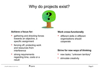 Project Wisdom Examples Project management | PDF